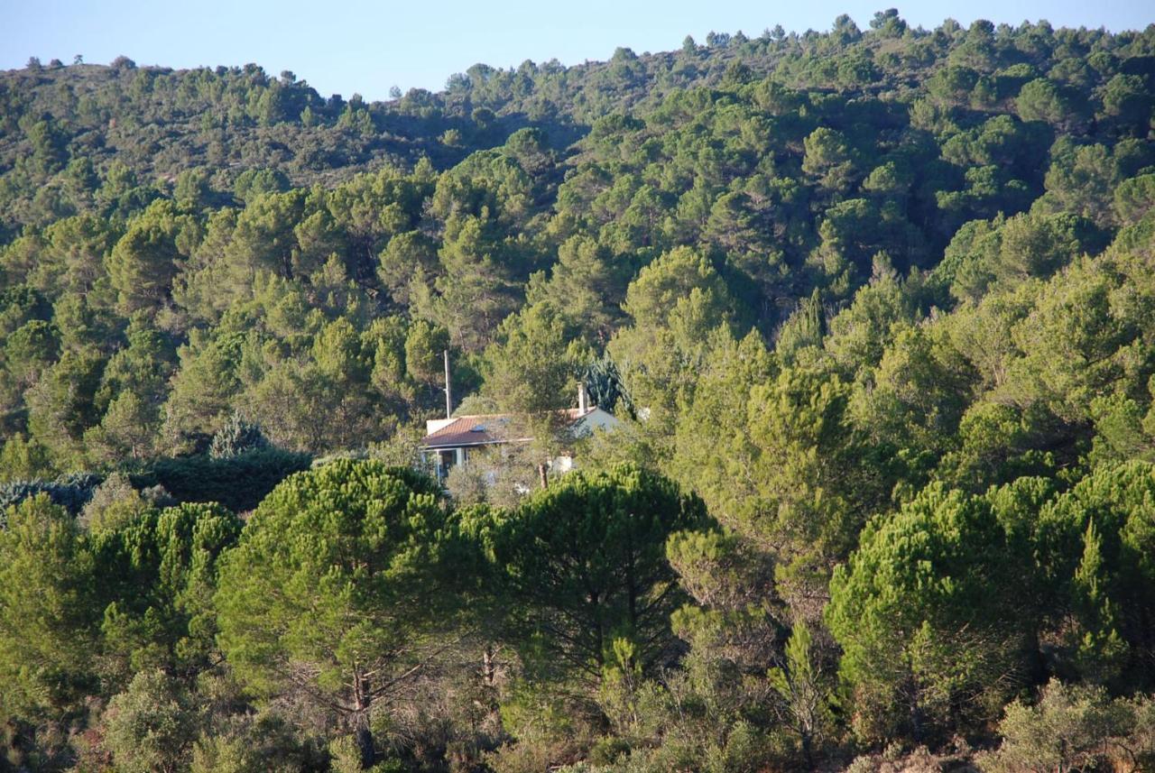 La Petite Cigale Vila Cesseras Exterior foto