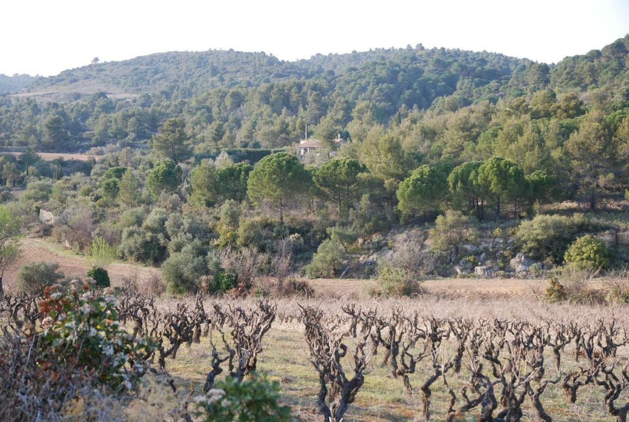 La Petite Cigale Vila Cesseras Exterior foto